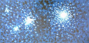 WhiteBlueandBlackDotted20x10